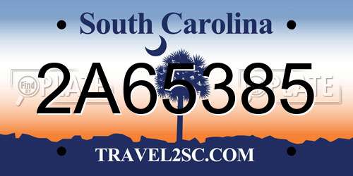 2A65385 South Carolina License Plate