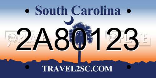 2A80123 South Carolina License Plate