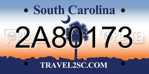 2A80173 South Carolina License Plate