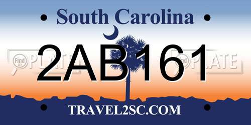 2AB161 South Carolina License Plate