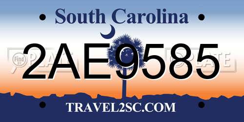 2AE9585 South Carolina License Plate