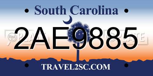 2AE9885 South Carolina License Plate