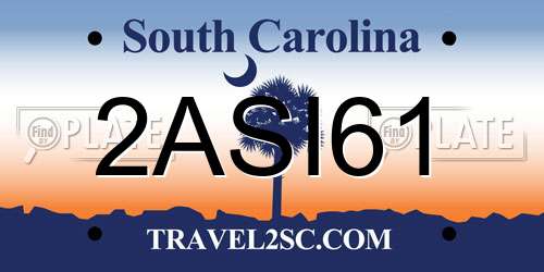 2ASI61 South Carolina License Plate
