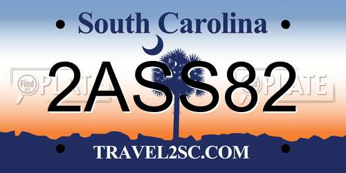 2ASS82 South Carolina License Plate