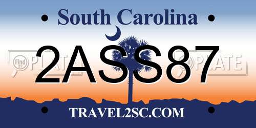 2ASS87 South Carolina License Plate