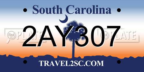 2AY307 South Carolina License Plate