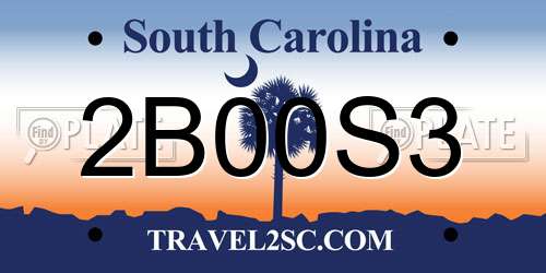 2B00S3 South Carolina License Plate