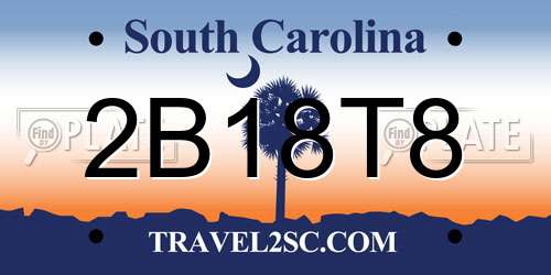 2B18T8 South Carolina License Plate