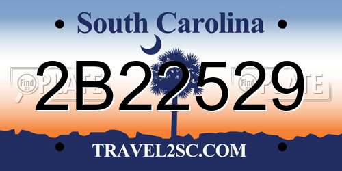2B22529 South Carolina License Plate
