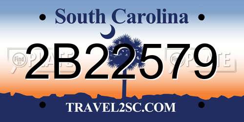 2B22579 South Carolina License Plate