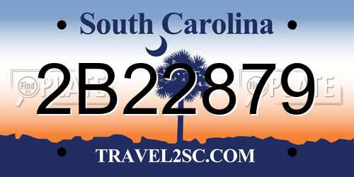 2B22879 South Carolina License Plate