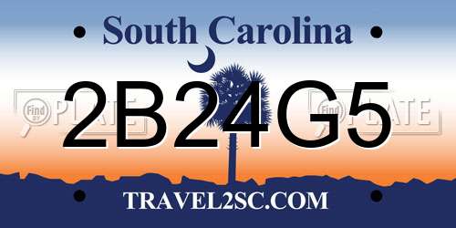 2B24G5 South Carolina License Plate