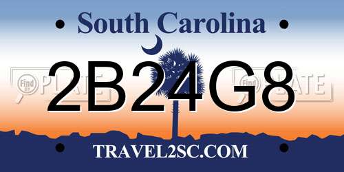 2B24G8 South Carolina License Plate