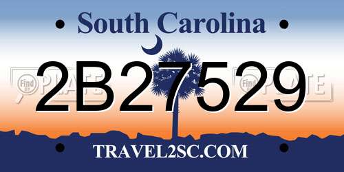 2B27529 South Carolina License Plate