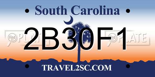 2B30F1 South Carolina License Plate