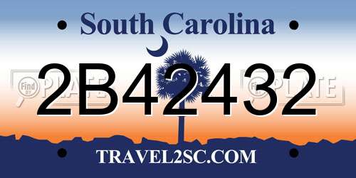 2B42432 South Carolina License Plate