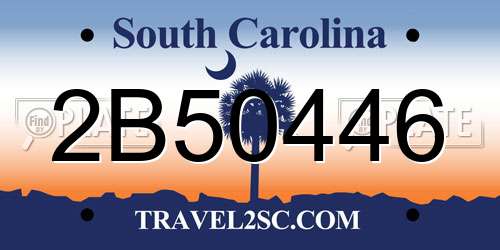 2B50446 South Carolina License Plate