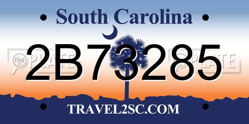 2B73285 South Carolina License Plate