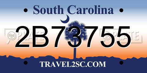 2B73755 South Carolina License Plate