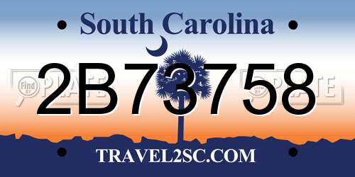 2B73758 South Carolina License Plate