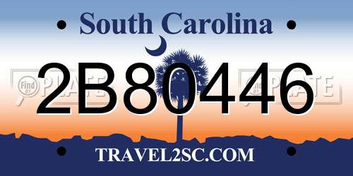 2B80446 South Carolina License Plate