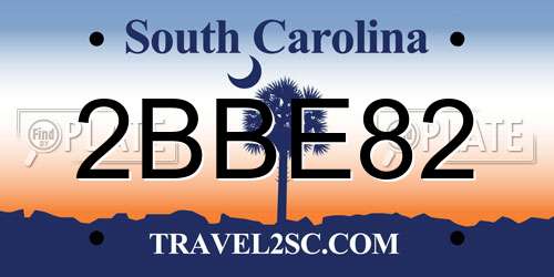 2BBE82 South Carolina License Plate