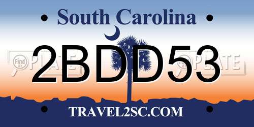 2BDD53 South Carolina License Plate