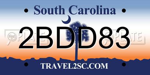 2BDD83 South Carolina License Plate