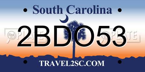 2BDO53 South Carolina License Plate