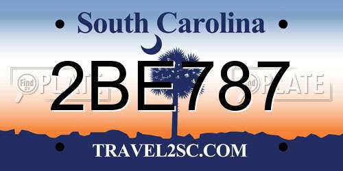 2BE787 South Carolina License Plate