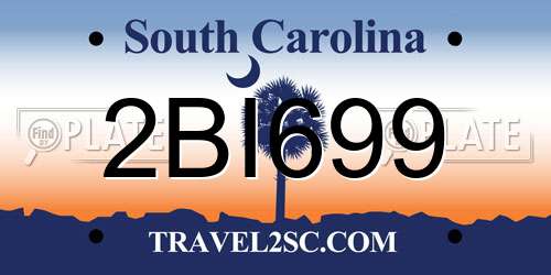 2BI699 South Carolina License Plate