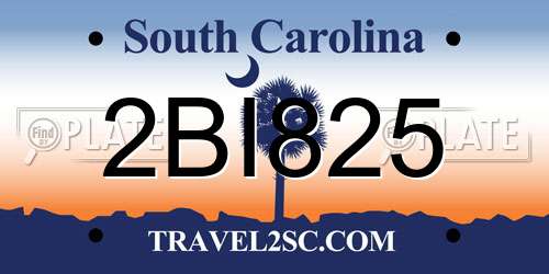 2BI825 South Carolina License Plate