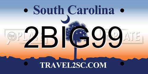 2BIG99 South Carolina License Plate