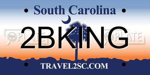 2BKING South Carolina License Plate