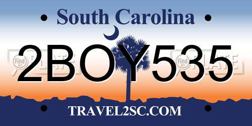 2BOY535 South Carolina License Plate