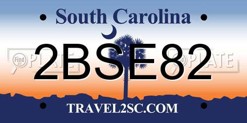 2BSE82 South Carolina License Plate