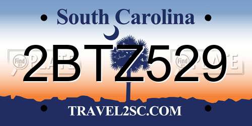 2BTZ529 South Carolina License Plate