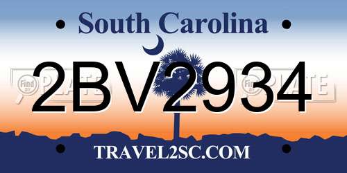 2BV2934 South Carolina License Plate