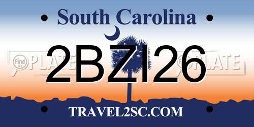 2BZI26 South Carolina License Plate