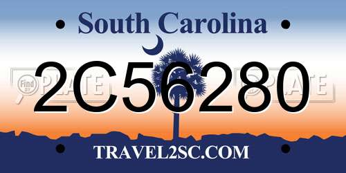 2C56280 South Carolina License Plate