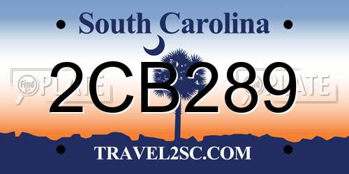 2CB289 South Carolina License Plate