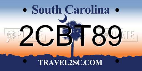 2CBT89 South Carolina License Plate