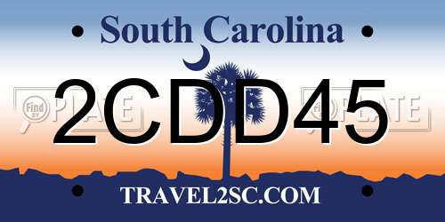 2CDD45 South Carolina License Plate