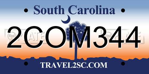 2COM344 South Carolina License Plate