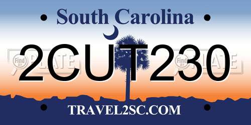 2CUT230 South Carolina License Plate