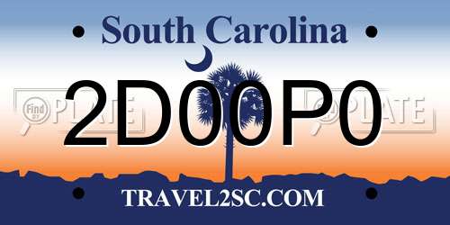 2D00P0 South Carolina License Plate