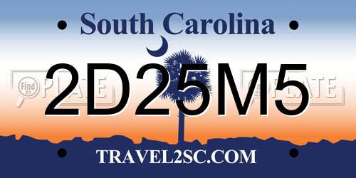 2D25M5 South Carolina License Plate