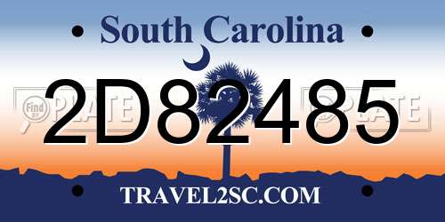 2D82485 South Carolina License Plate