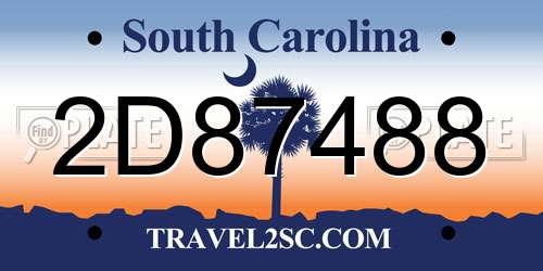 2D87488 South Carolina License Plate