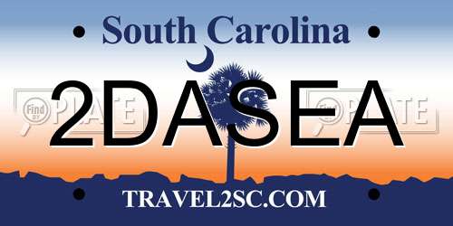 2DASEA South Carolina License Plate